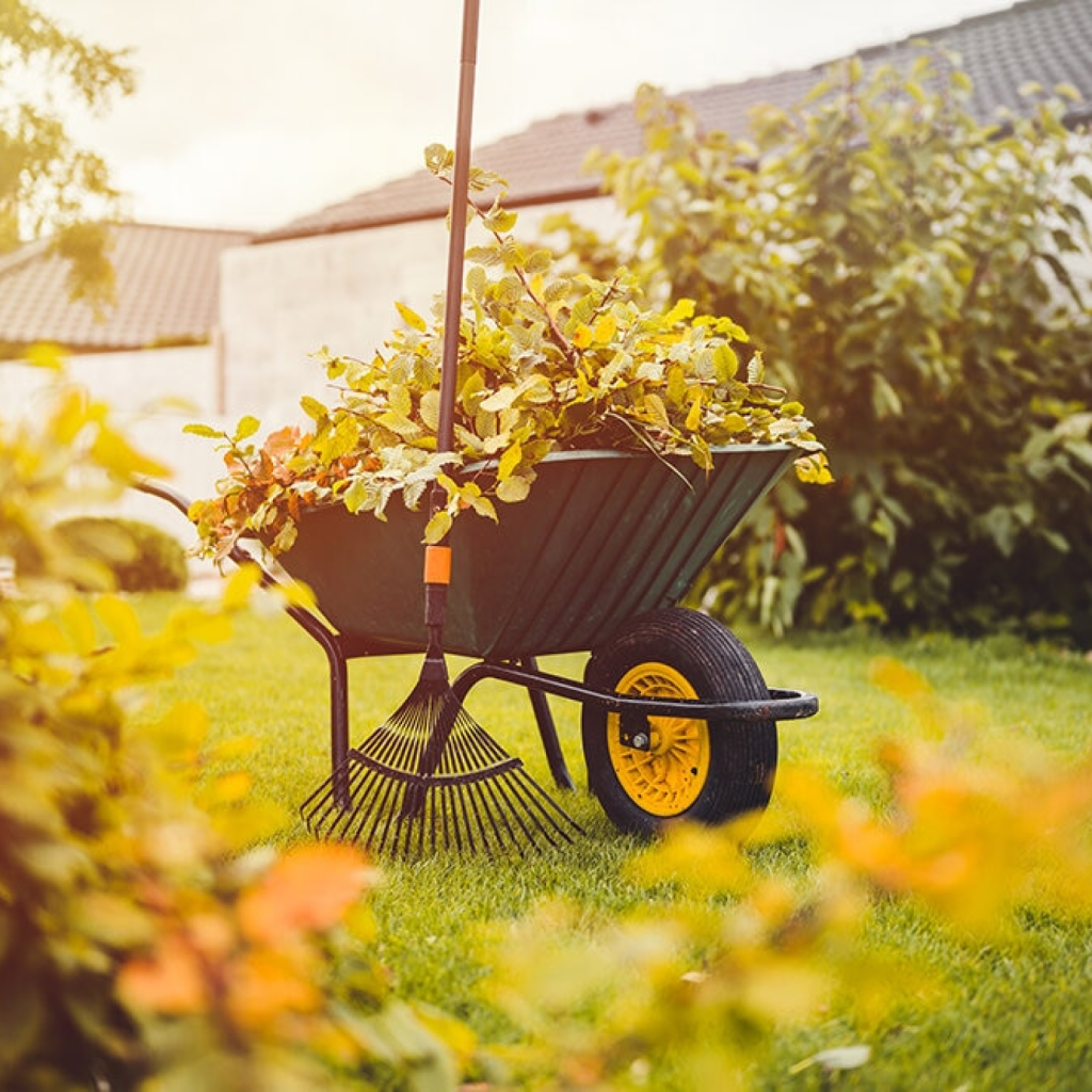 О компании - Сад.PNG